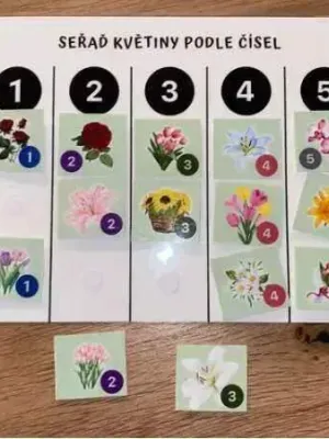 MEMO - A4 Hrací list SEŘAĎ KVĚTINY