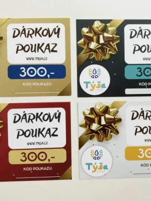 DÁRKOVÝ POUKAZ 300,-