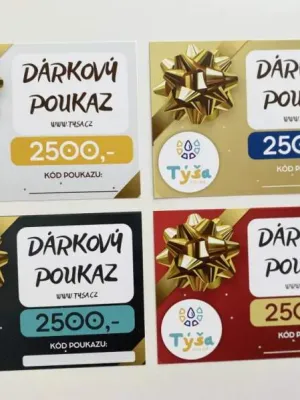 DÁRKOVÝ POUKAZ 2500,-